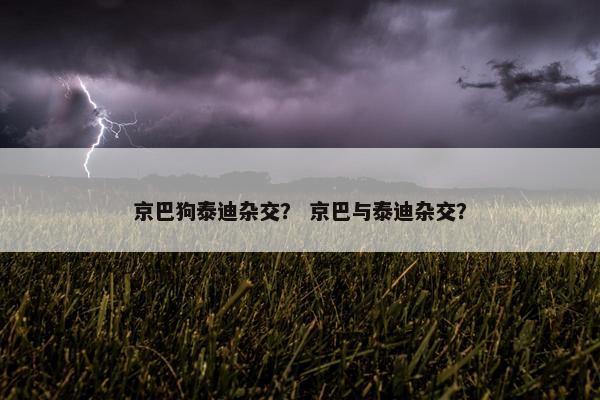 京巴狗泰迪杂交？ 京巴与泰迪杂交？