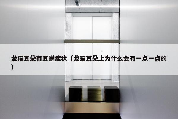 龙猫耳朵有耳螨症状（龙猫耳朵上为什么会有一点一点的）