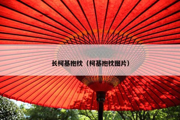 长柯基抱枕（柯基抱枕图片）