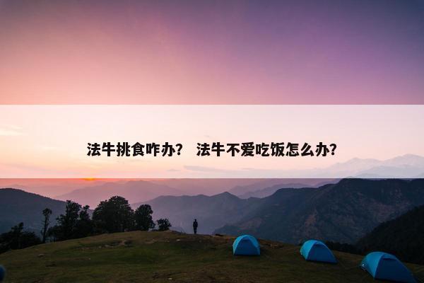 法牛挑食咋办？ 法牛不爱吃饭怎么办？