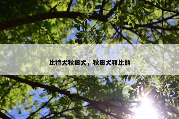 比特犬秋田犬，秋田犬和比熊