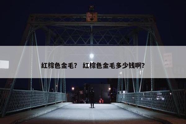 金毛 第14页