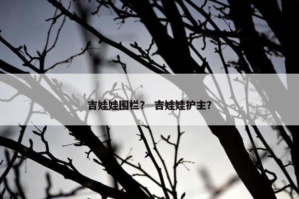 吉娃娃围栏？ 吉娃娃护主？
