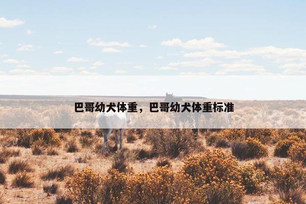 巴哥幼犬体重，巴哥幼犬体重标准