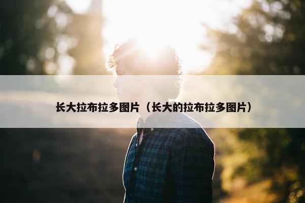 小布