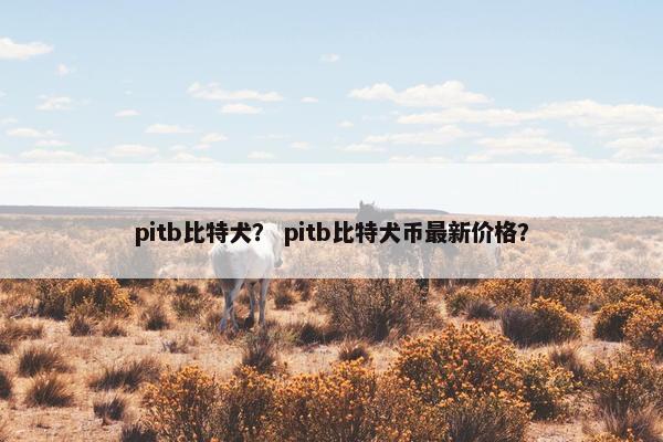 pitb比特犬？ pitb比特犬币最新价格？