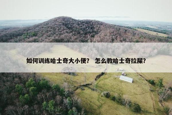 如何训练哈士奇大小便？ 怎么教哈士奇拉屎？