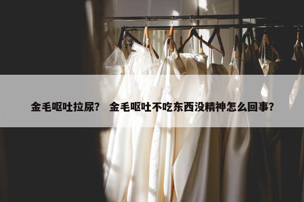 金毛呕吐拉尿？ 金毛呕吐不吃东西没精神怎么回事？