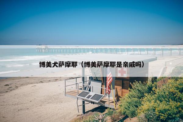 博美犬萨摩耶（博美萨摩耶是亲戚吗）