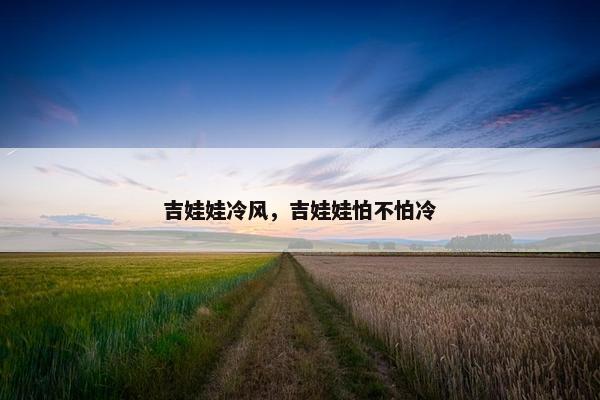 吉娃娃冷风，吉娃娃怕不怕冷