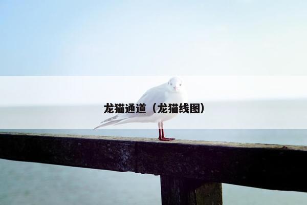 龙猫通道（龙猫线图）