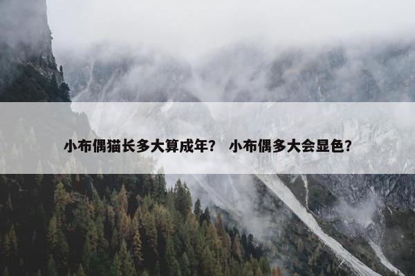 成年 第3页