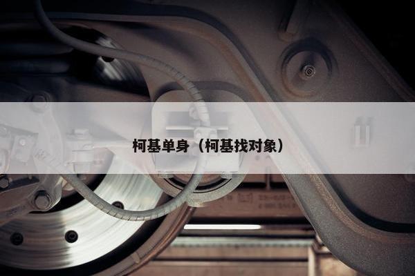 柯基单身（柯基找对象）