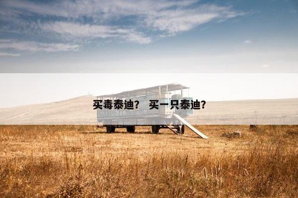 买毒泰迪？ 买一只泰迪？