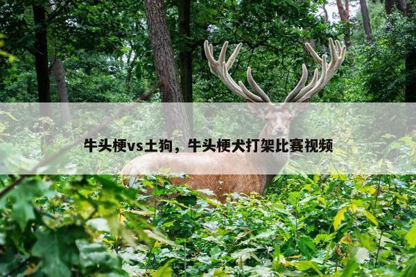 土狗 第8页