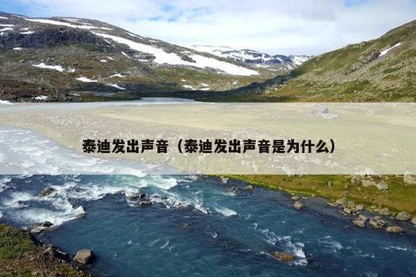 泰迪发出声音（泰迪发出声音是为什么）