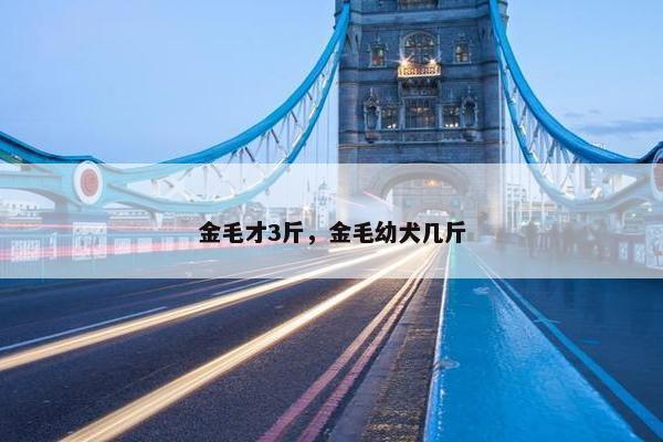 金毛才3斤，金毛幼犬几斤