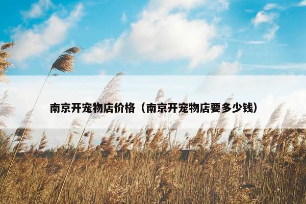 南京开宠物店价格（南京开宠物店要多少钱）