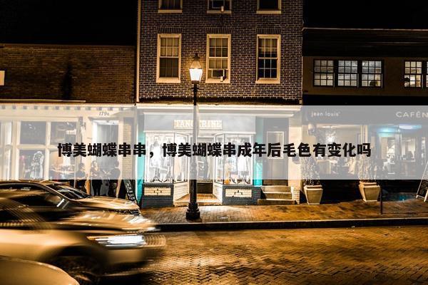 博美蝴蝶串串，博美蝴蝶串成年后毛色有变化吗