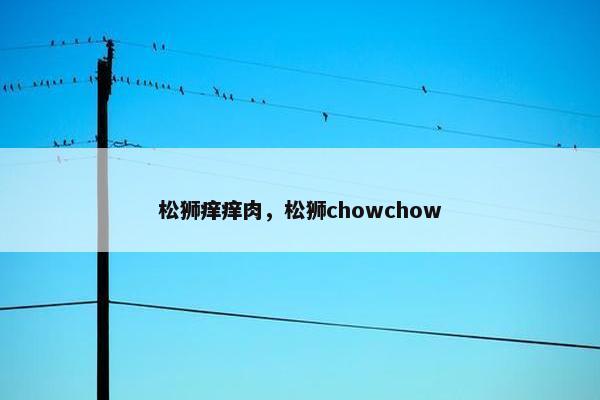 松狮痒痒肉，松狮chowchow