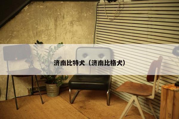 济南比特犬（济南比格犬）