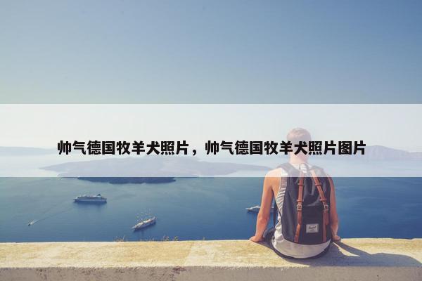 帅气德国牧羊犬照片，帅气德国牧羊犬照片图片