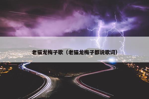 老猫龙梅子歌（老猫龙梅子都说歌词）