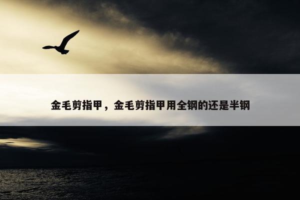 金毛 第45页