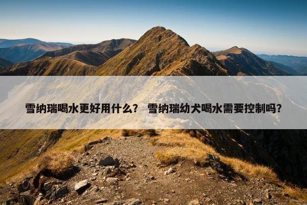 雪纳瑞喝水更好用什么？ 雪纳瑞幼犬喝水需要控制吗？
