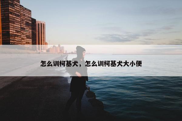 怎么训柯基犬，怎么训柯基犬大小便