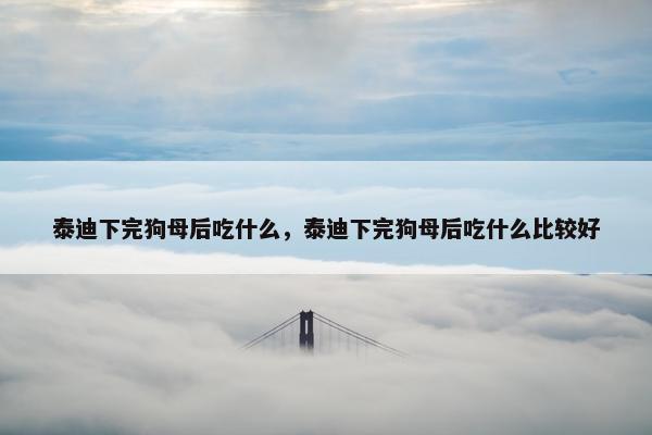 泰迪下完狗母后吃什么，泰迪下完狗母后吃什么比较好