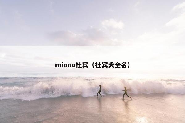 miona杜宾（杜宾犬全名）