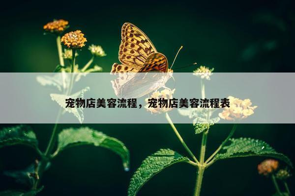 宠物店美容流程，宠物店美容流程表