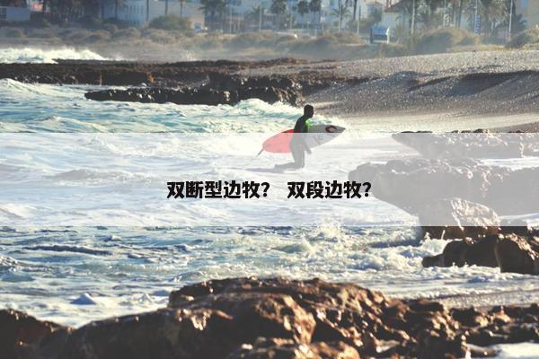 双断型边牧？ 双段边牧？