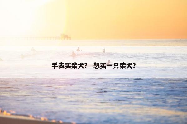 拍卖