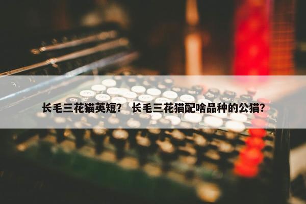 长毛三花猫英短？ 长毛三花猫配啥品种的公猫？