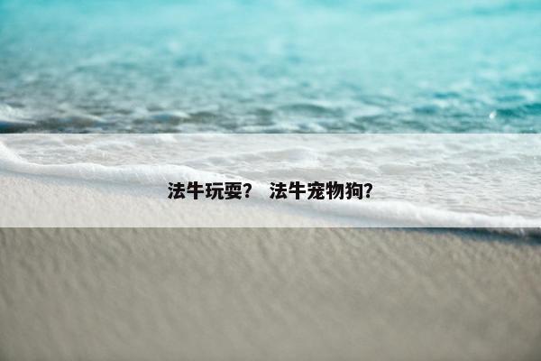 法牛玩耍？ 法牛宠物狗？