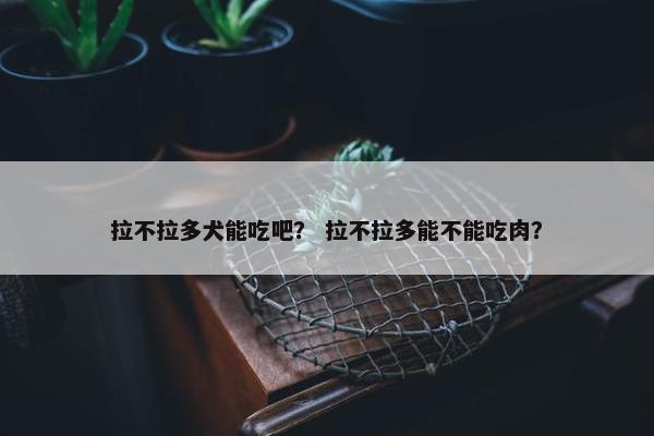 拉不拉多犬能吃吧？ 拉不拉多能不能吃肉？