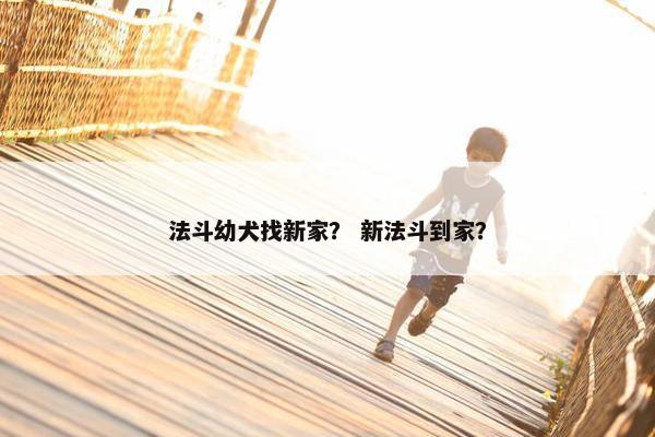 法斗幼犬找新家？ 新法斗到家？