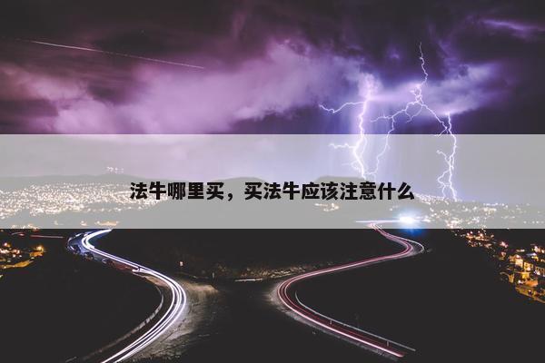 法牛哪里买，买法牛应该注意什么