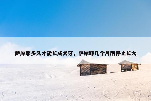 萨摩耶多久才能长成犬牙，萨摩耶几个月后停止长大