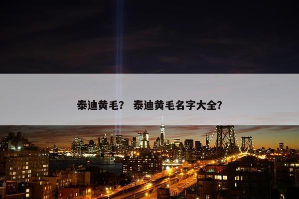 泰迪黄毛？ 泰迪黄毛名字大全？