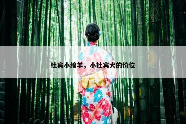 杜宾小绵羊，小杜宾犬的价位