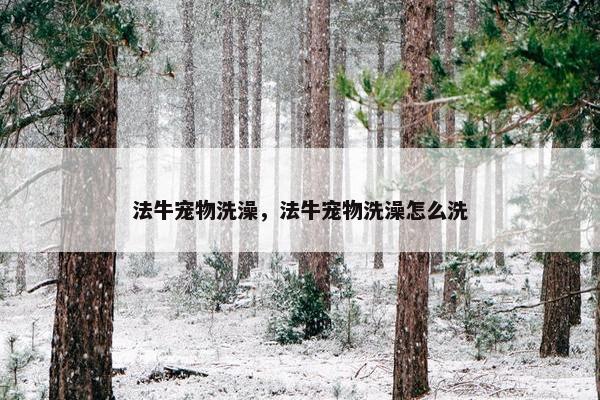 法牛宠物洗澡，法牛宠物洗澡怎么洗