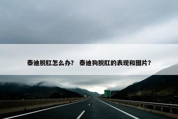 泰迪脱肛怎么办？ 泰迪狗脱肛的表现和图片？