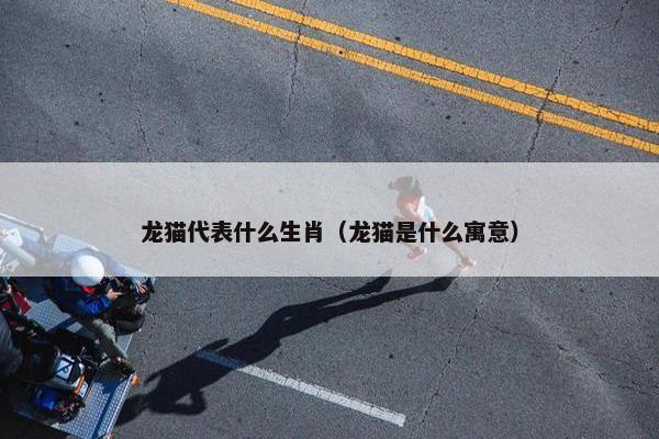 龙猫代表什么生肖（龙猫是什么寓意）