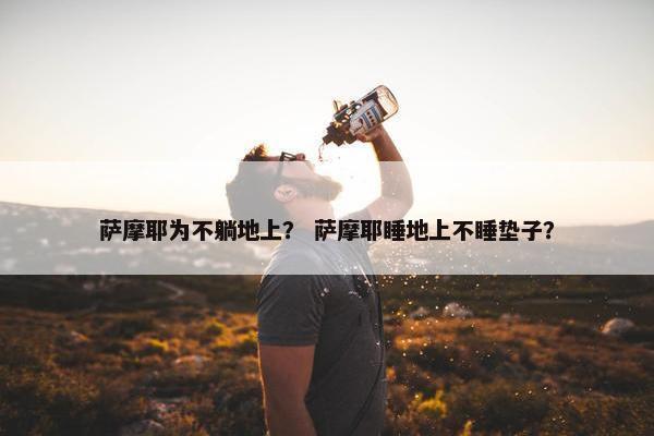 垫子