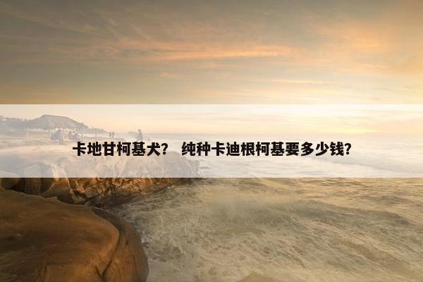 柯基 第10页