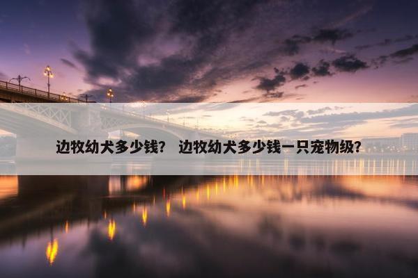 边牧幼犬多少钱？ 边牧幼犬多少钱一只宠物级？