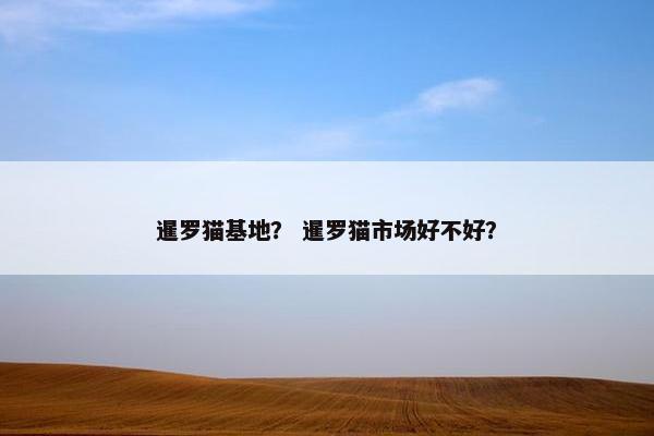 暹罗猫基地？ 暹罗猫市场好不好？